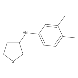 N-(3,4-dimethylphenyl)thiolan-3-amine结构式