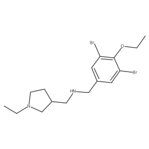 N-[(3,5-Dibromo-4-ethoxyphenyl)methyl]-1-ethyl-3-pyrrolidinemethanamine结构式