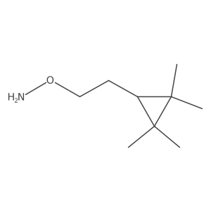O-[2-(2,2,3,3-tetramethylcyclopropyl)ethyl]hydroxylamine Structure