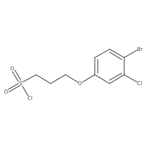 3-(4-Bromo-3-chlorophenoxy)propane-1-sulfonyl chloride Structure