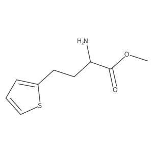 Methyl 2-amino-4-(thiophen-2-yl)butanoate Structure