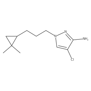 4-chloro-1-[3-(2,2-dimethylcyclopropyl)propyl]-1H-pyrazol-3-amine结构式