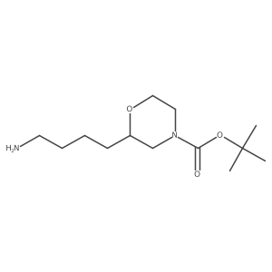 2228561-40-6 structure