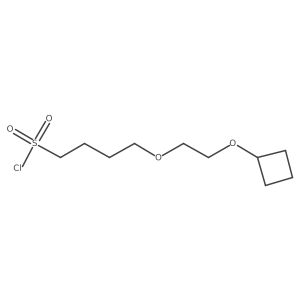 4-(2-Cyclobutoxyethoxy)butane-1-sulfonyl chloride结构式