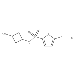 5-methyl-N-[(1r,3r)-3-aminocyclobutyl]thiophene-2-sulfonamide hydrochloride结构式