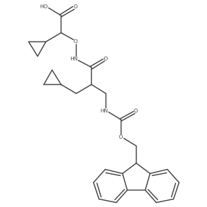 2172098-24-5 structure