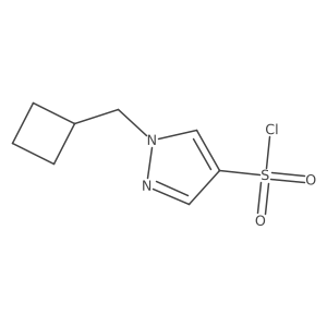 1-(Cyclobutylmethyl)-1H-pyrazole-4-sulfonyl chloride Structure