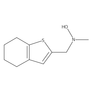 N-methyl-N-[(4,5,6,7-tetrahydro-1-benzothiophen-2-yl)methyl]hydroxylamine结构式