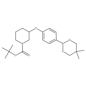 Tert-butyl 3-[4-(5,5-dimethyl-1,3,2-dioxaborinan-2-YL)phenoxy]piperidine-1-carboxylate结构式