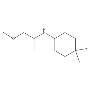 N-(1-methoxypropan-2-yl)-4,4-dimethylcyclohexan-1-amine结构式