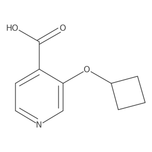 3-Cyclobutoxyisonicotinic acid结构式