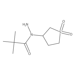 N-(1,1-dioxo-1lambda6-thiolan-3-yl)-2,2-dimethylpropanehydrazide Structure