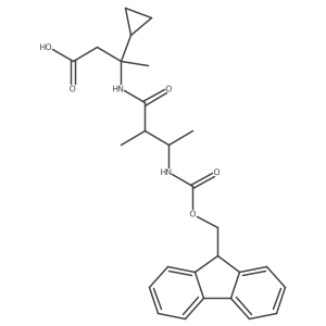 2172096-29-4 structure