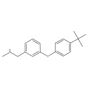 1-(3-(4-(tert-butyl)phenoxy)phenyl)-N-methylmethanamine Structure