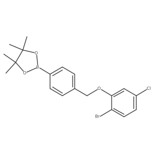 2246864-96-8 structure