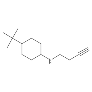 N-(but-3-yn-1-yl)-4-tert-butylcyclohexan-1-amine结构式