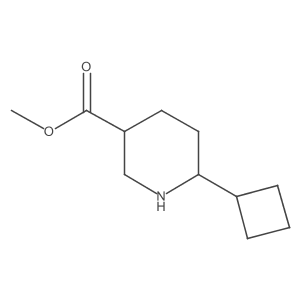 Methyl 6-cyclobutylpiperidine-3-carboxylate结构式