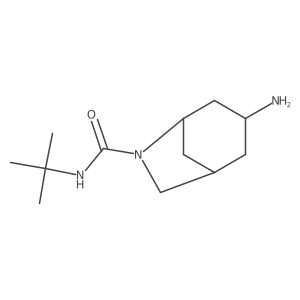 3-amino-N-tert-butyl-6-azabicyclo[3.2.1]octane-6-carboxamide结构式