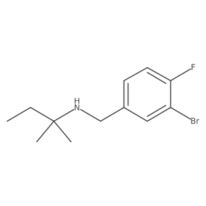 [(3-Bromo-4-fluorophenyl)methyl](2-methylbutan-2-YL)amine结构式