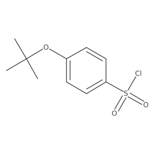 4-(Tert-butoxy)benzene-1-sulfonyl chloride结构式