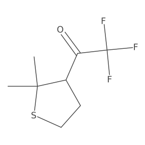1-(2,2-Dimethylthiolan-3-yl)-2,2,2-trifluoroethan-1-one Structure