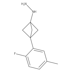 [3-(2-Fluoro-5-methylphenyl)-1-bicyclo[1.1.1]pentanyl]hydrazine Structure