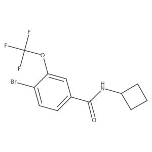 4-Bromo-N-cyclobutyl-3-(trifluoromethoxy)benzamide结构式