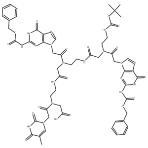 8,14-Bis(2-(2-(((benzyloxy)carbonyl)amino)-6-oxo-3H-purin-9(6H)-yl)acetyl)-2,2-dimethyl-20-(2-(5-methyl-2,4-dioxo-3,4-dihydropyrimidin-1(2H)-yl)acetyl)-4,10,16-trioxo-3-oxa-5,8,11,14,17,20-hexaazadocosan-22-oic acid Structure