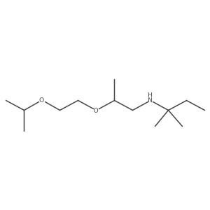 2-Methyl-N-[2-[2-(1-methylethoxy)ethoxy]propyl]-2-butanamine Structure