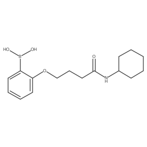 B-[2-[4-(Cyclohexylamino)-4-oxobutoxy]phenyl]boronic acid结构式