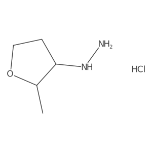 (2-Methyloxolan-3-yl)hydrazine hydrochloride结构式