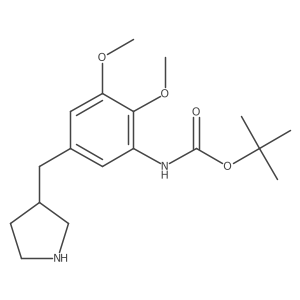 tert-butyl N-{2,3-dimethoxy-5-[(pyrrolidin-3-yl)methyl]phenyl}carbamate Structure