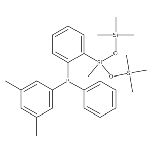 (3,5-Dimethylphenyl)(2-(1,1,1,3,5,5,5-heptamethyltrisiloxan-3-yl)phenyl)(phenyl)phosphane结构式