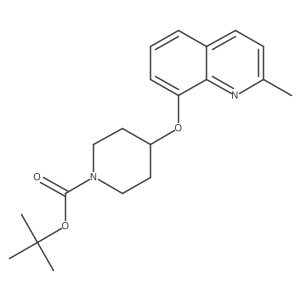 Tert-butyl 4-(2-methylquinolin-8-yl)oxypiperidine-1-carboxylate Structure