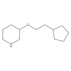 3-(2-Cyclopentylethoxy)piperidine Structure