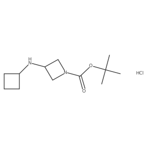1955547-69-9 structure