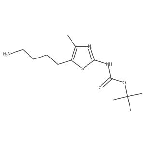 tert-butyl N-[5-(4-aminobutyl)-4-methyl-1,3-thiazol-2-yl]carbamate结构式