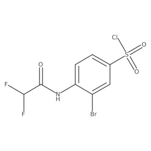 3-Bromo-4-(2,2-difluoroacetamido)benzene-1-sulfonyl chloride Structure
