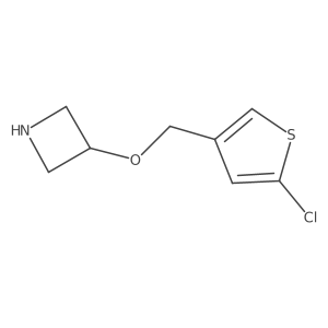 3-[(5-Chlorothiophen-3-yl)methoxy]azetidine结构式
