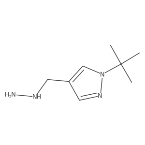 1-tert-butyl-4-(hydrazinylmethyl)-1H-pyrazole结构式