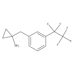 1-{[3-(Pentafluoroethyl)phenyl]methyl}cyclopropan-1-amine结构式