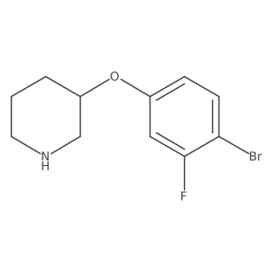 3-(4-Bromo-3-fluorophenoxy)piperidine结构式