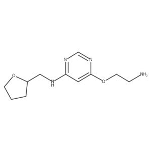 6-(2-aminoethoxy)-N-((tetrahydrofuran-2-yl)methyl)pyrimidin-4-amine Structure