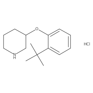 3-[2-(Tert-butyl)phenoxy]piperidine hydrochloride结构式