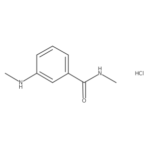 N-Methyl-3-(methylamino)benzamide hydrochloride Structure