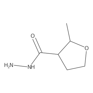 2-Methyloxolane-3-carbohydrazide Structure