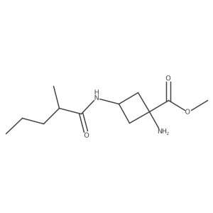 Methyl 1-amino-3-(2-methylpentanamido)cyclobutane-1-carboxylate Structure