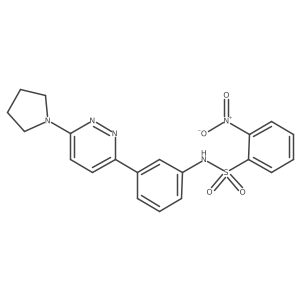 2-nitro-N-(3-(6-(pyrrolidin-1-yl)pyridazin-3-yl)phenyl)benzenesulfonamide结构式