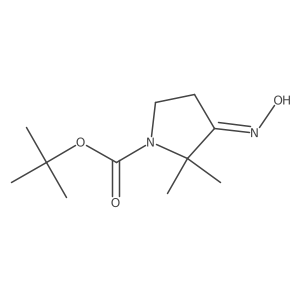 CC(C)(C)OC(=O)N1CCC(=NO)C1(C)C结构式