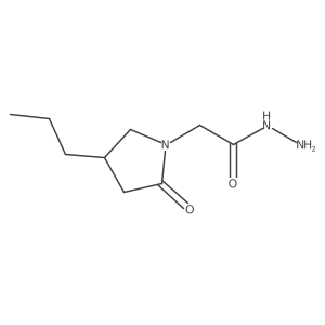 2-(2-Oxo-4-propylpyrrolidin-1-yl)acetohydrazide结构式
